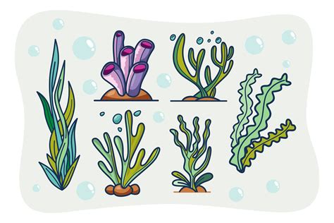 Seaweeds Sea Underwater Plants Ocean Cor Graphic by onoborgol · Creative Fabrica