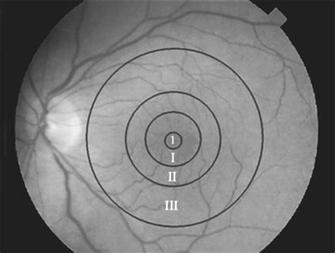 Normal Anatomy of the Macula | Ento Key