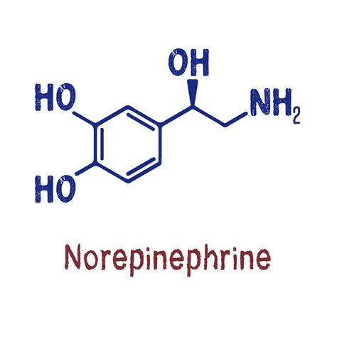 Norepinephrine supplement ADHD Depression | OptimizeBetter