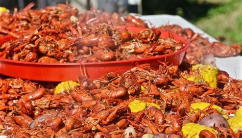 3 Texas Early Spring Crawfish Festivals You Won’t Want to Miss