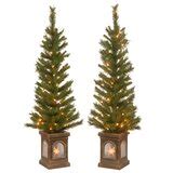 Wayfair | Christmas Trees You'll Love in 2022