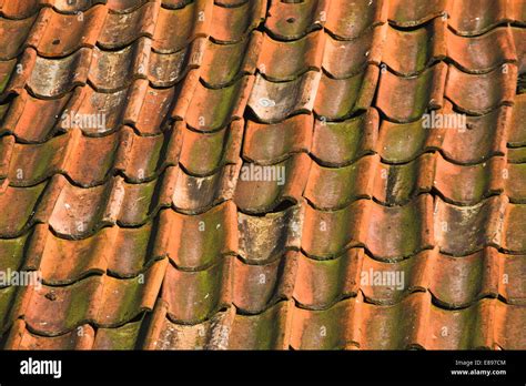 Close up of roof tiled with old pantiles Stock Photo - Alamy