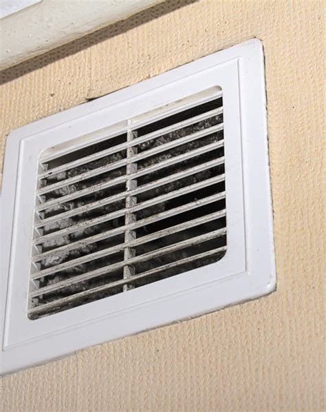 Mold Remediation - Breathe Easy HVAC