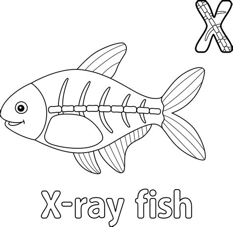 X-Ray Fish Alphabet ABC Coloring Page X 10388012 Vector Art at Vecteezy