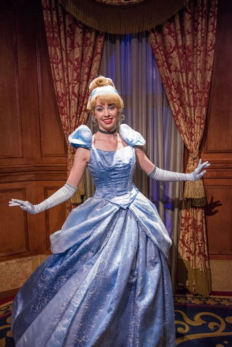 Cinderella at Magic Kingdom in the Walt Disney World Resort. Meg & Her Camera Photography ...