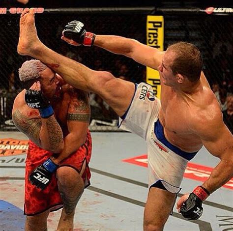 What Are The Rules For Mma Fighting?