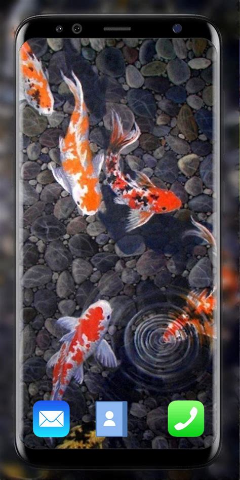 Koi Fish Live Wallpaper 3D APK for Android Download