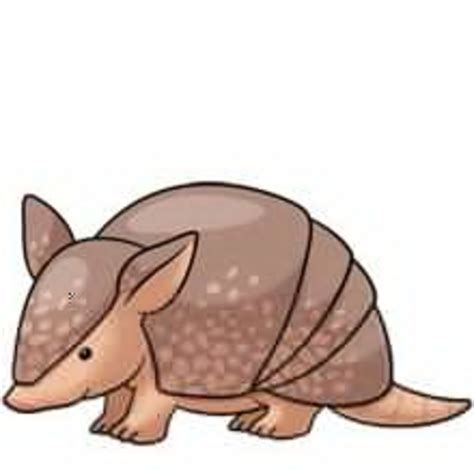 armadillo images clipart 10 free Cliparts | Download images on Clipground 2024