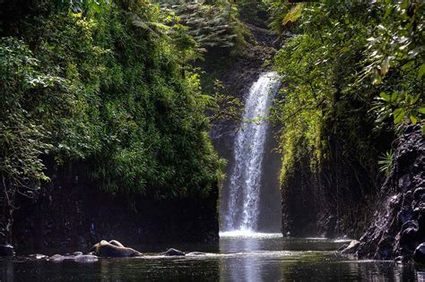 20 Amazing Things to Do in Taveuni - Fiji Pocket Guide