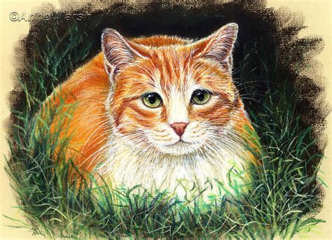 GINGER CAT CONTENTMENT LIMITED EDITION PRINT OF PAINTING ANNE MARSH ART ...