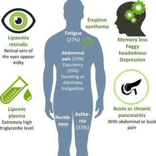 (PDF) Causes, clinical findings and therapeutic options in chylomicronemia syndrome, a special ...