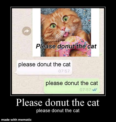 Please Donut the Cat | Please Do Not The Cat | Know Your Meme