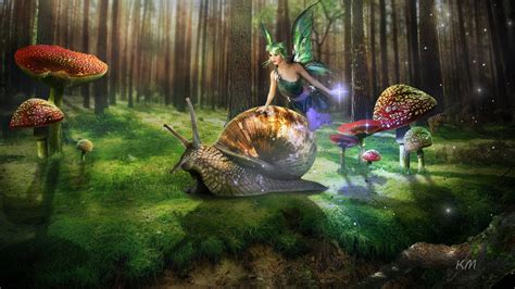 Mushroom Fairy Wallpapers - Wallpaper Cave