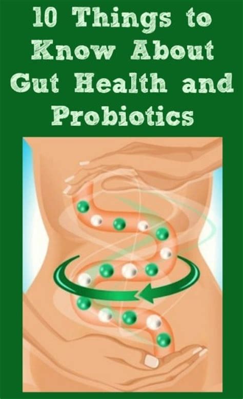 10 Things to Know about Your Gut Health and Probiotics