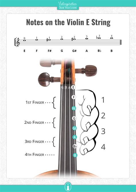 All Violin Notes on the E String [with Easy PDF Chart] - Violinspiration