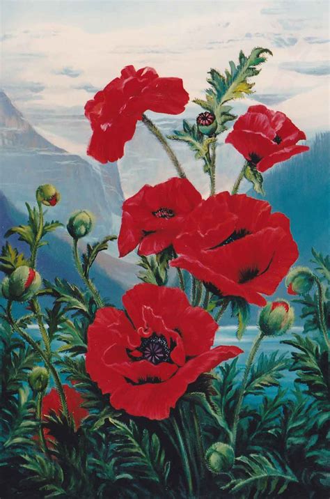 Oriental Poppies Painting at PaintingValley.com | Explore collection of ...