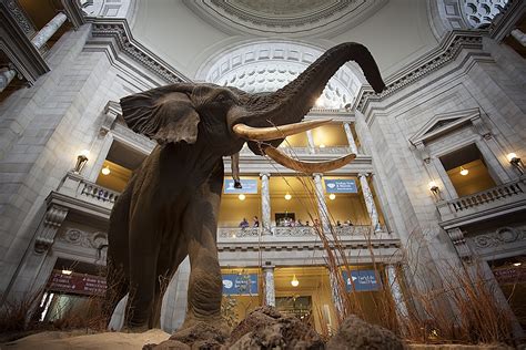 Smithsonian Natural History Museum in Washington DC