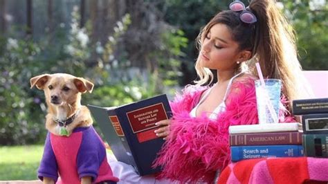 Ariana Grande Pets: Complete Guide to Her Dogs and Pig, Photos