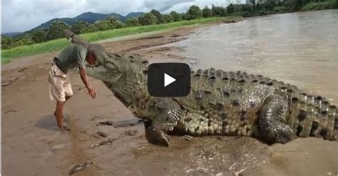 CROCODILE EAT ALIVE MAN MUST SEE « GOFUN18