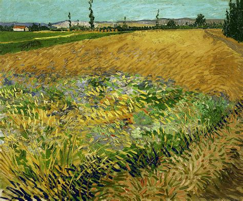 Wheatfield by Vincent van Gogh