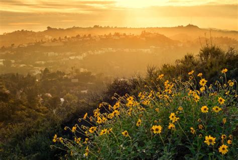 18 Scenic Views in Los Angeles - Redfin