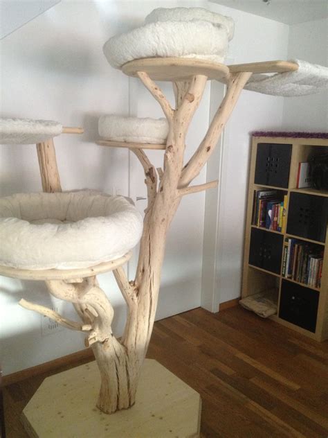 DIY Maine Coon Cat Tree: A Step-by-Step Guide – PSQ