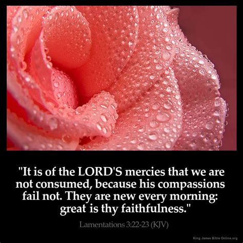 Lamentations 3:22 Inspirational Image