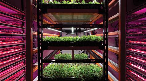 A Look Beyond the Hype of Vertical Farming - Greenhouse Grower