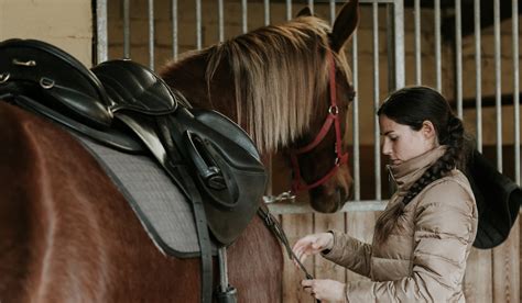 5 Types of Dressage Saddles - Helpful Horse Hints