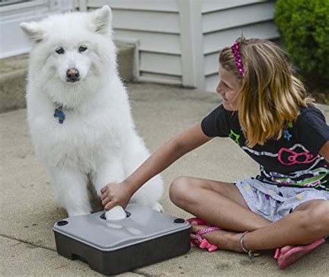 Top 5 Best Paw Wash for Dogs 2018 (easily removes dirt, mud and debris)