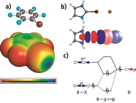 The halogen bond: Nature and applications