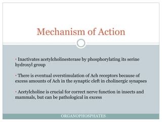 Organophosphates | PPT