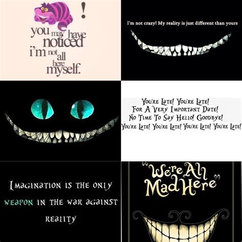 Cheshire Cat From Alice In Wonderland Quotes. QuotesGram