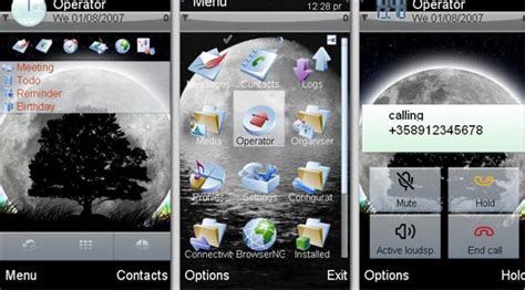 Nokia X6 Themes