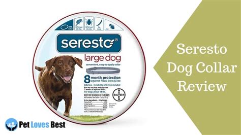 Seresto Dog Collar Reviews of 2021 (Side Effects & Warnings) - We Need Pets