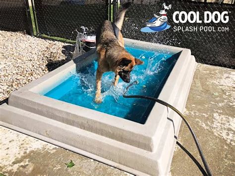 Cool Dog Splash Pool | Dog Playground Equipment