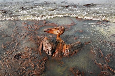 Five years after BP spill, new rules for offshore drilling aim to boost ...