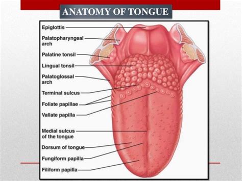 Tongue disorders