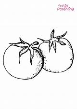 Tomato Vegetable Coloring Page For Kids  FirstCry Parenting sketch template