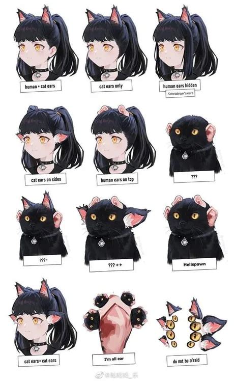 Types of Catgirls (Extended Version) | Cat Girl | Know Your Meme