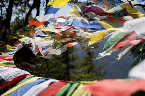 Tigers & Legend in Bhutan | Animal Planet