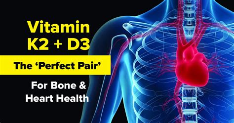 Heart and Bone Health - The "Perfect Pair" Vitamin - Alpro Pharmacy