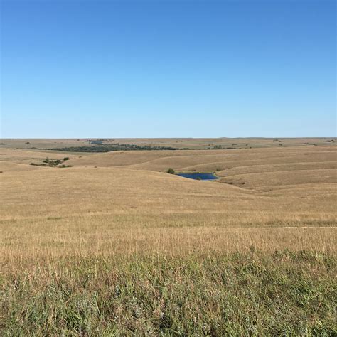 Tallgrass Prairie National Preserve, KS. Found plenty of locusts and bisons in the 10 mile hike ...