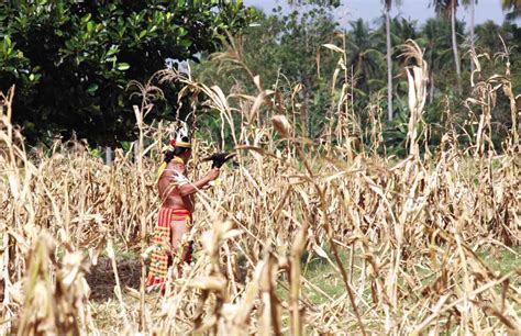 A prayer ritual for Mamasapano dead | Inquirer News