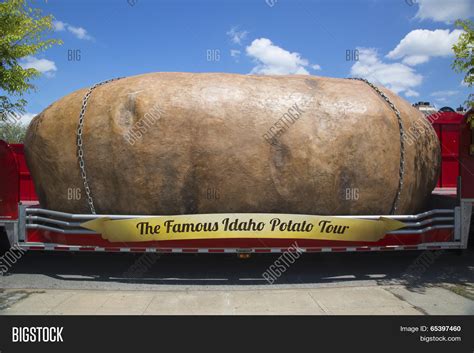 World's Largest Potato Image & Photo (Free Trial) | Bigstock