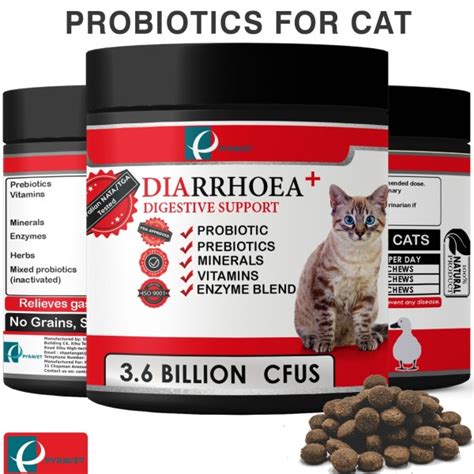 Cat Probiotics Australia | Probiotics For Cats With Diarrhea