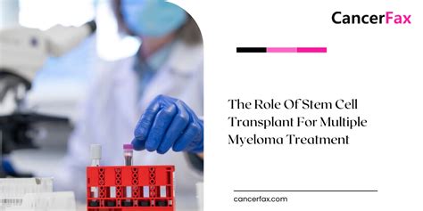 The Role Of Stem Cell Transplant For Multiple Myeloma Treatment