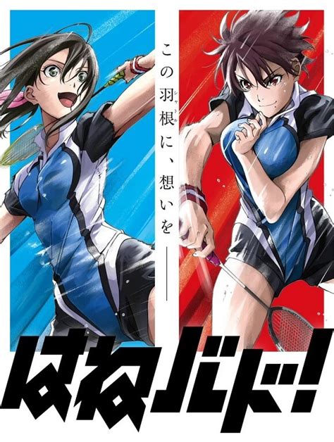 Hanebado! - Manga de Badminton vai receber Anime - Vídeo - ptAnime