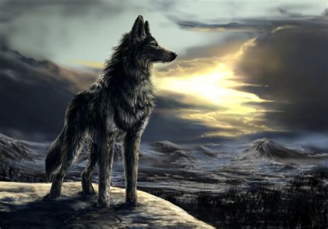 wolves - Wolves Fan Art (20471685) - Fanpop