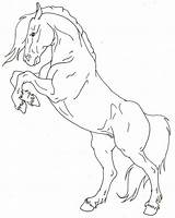 Free Horse coloring Page  Download Print Or Color Online For sketch template